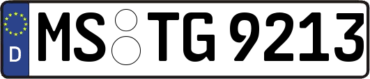 MS-TG9213