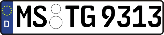 MS-TG9313