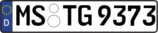MS-TG9373