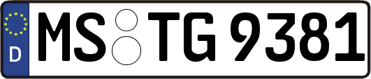 MS-TG9381