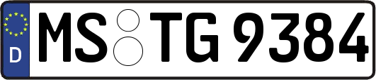 MS-TG9384