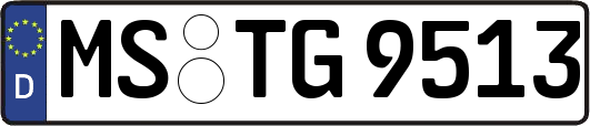 MS-TG9513