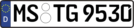 MS-TG9530