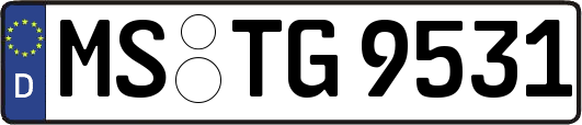 MS-TG9531