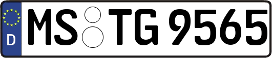 MS-TG9565