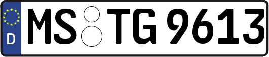 MS-TG9613