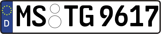 MS-TG9617