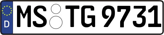 MS-TG9731