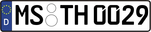 MS-TH0029