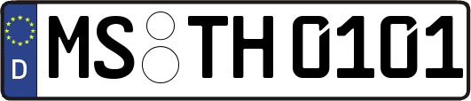 MS-TH0101