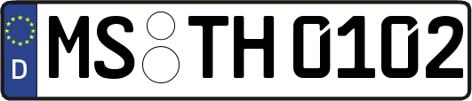 MS-TH0102