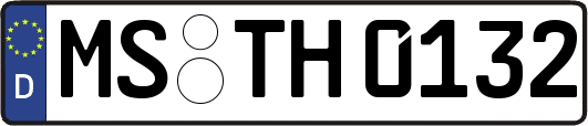 MS-TH0132