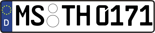 MS-TH0171