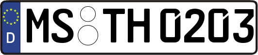 MS-TH0203