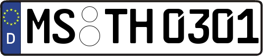 MS-TH0301