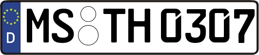 MS-TH0307