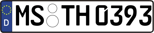 MS-TH0393