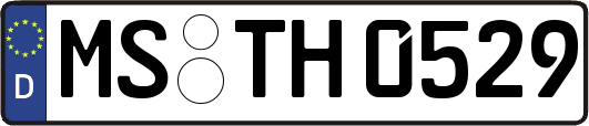 MS-TH0529
