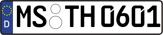 MS-TH0601
