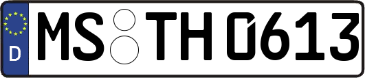 MS-TH0613