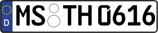 MS-TH0616