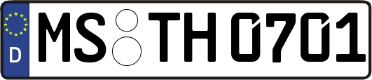 MS-TH0701