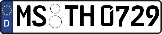 MS-TH0729