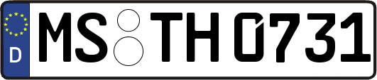 MS-TH0731