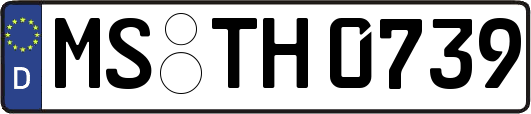 MS-TH0739