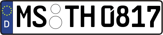 MS-TH0817