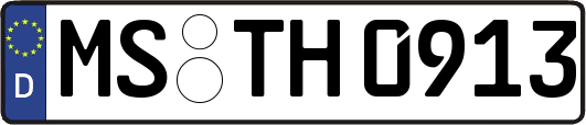 MS-TH0913