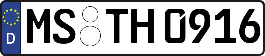 MS-TH0916