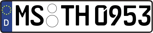 MS-TH0953