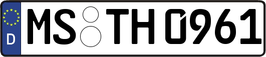 MS-TH0961