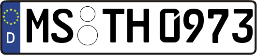 MS-TH0973