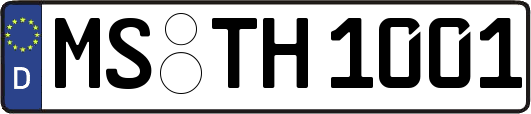 MS-TH1001