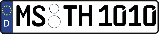 MS-TH1010