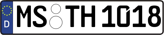 MS-TH1018