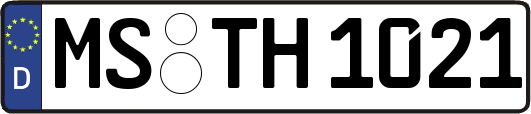 MS-TH1021