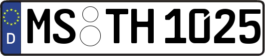 MS-TH1025