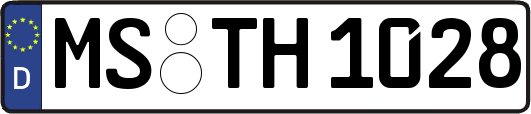 MS-TH1028