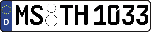 MS-TH1033