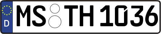 MS-TH1036