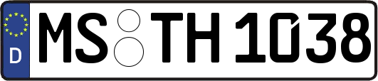 MS-TH1038