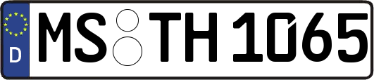 MS-TH1065