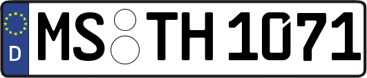 MS-TH1071