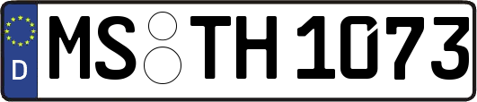 MS-TH1073