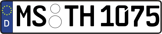 MS-TH1075