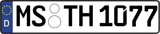 MS-TH1077