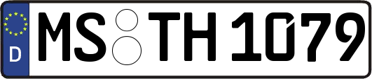 MS-TH1079